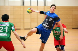 Aktivposten und Kerwevadder Heiko Fischer (Bild: www-hbz.da.de)