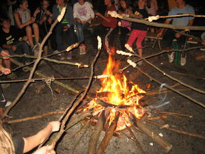 Gemeinsamkeit oder Teamgeist? Was bedeutet der TVB für Euch?