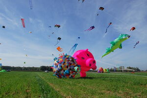 Allerhand los war am Büttelborner Himmel vor drei Jahren