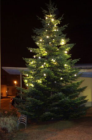Der wunderschöne Weihnachtsbaum